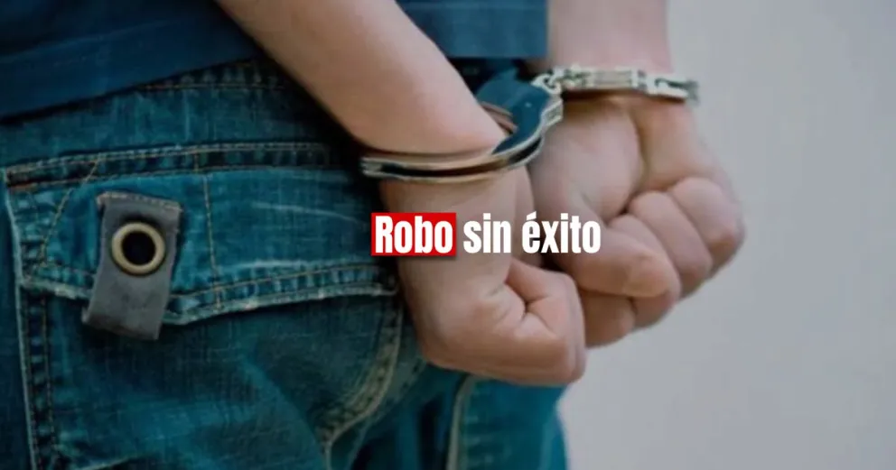 Atraparon a un ladrón que se llevó una notebook y una impresora 