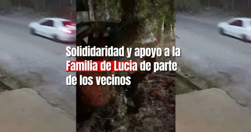 Tragedia en el Barrio Profesional: la Unión Vecinal emitió un comunicado tras lo sucedido este 15 de octubre