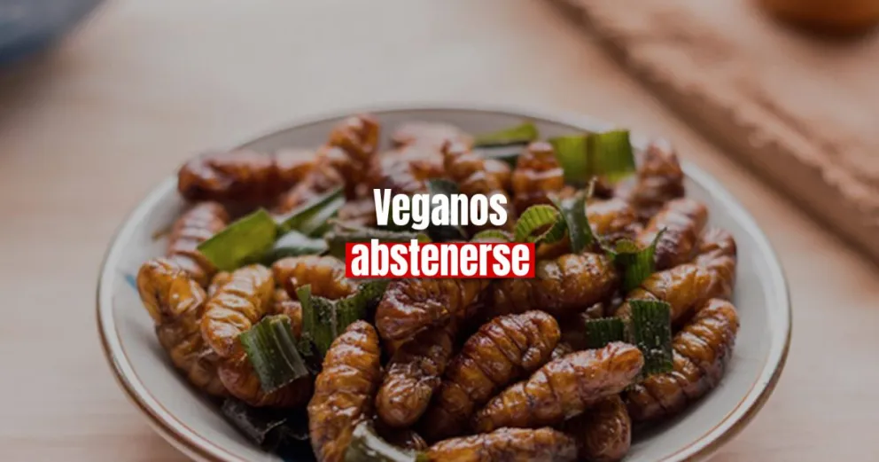Buscan que se apruebe el consumo de insectos en Argentina