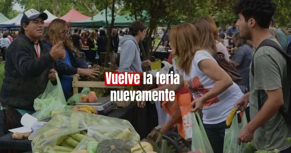 Conocé donde estará la feria de verduras y frutas a precios accesibles  