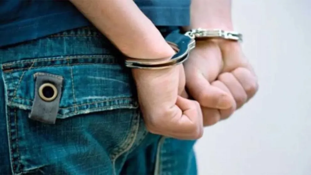 Irá a prisión un ladrón que robó un celular e intentó fugarse 
