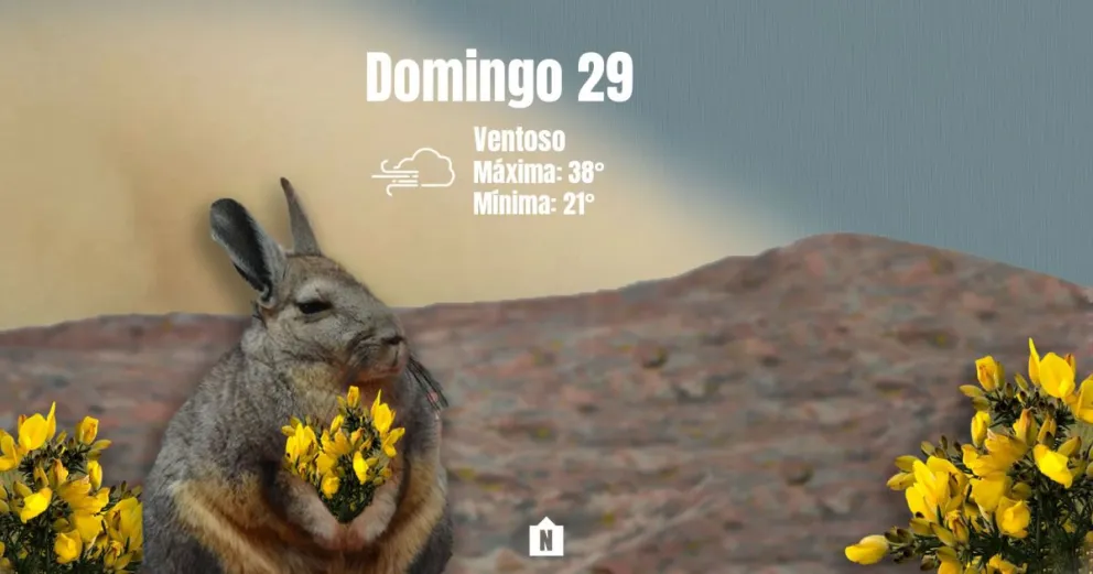 Domingo caluroso y pasado por viento Zonda