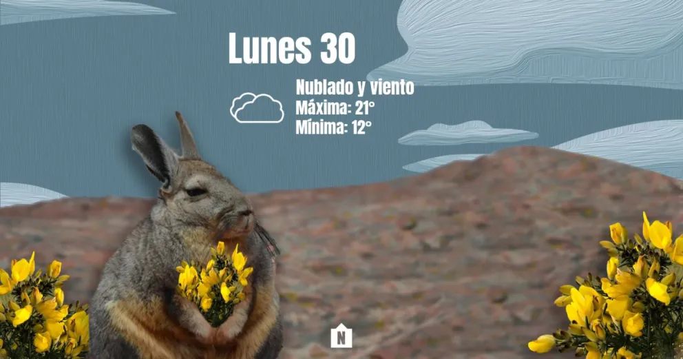 Lunes nublado y con viento sur en la provincia 