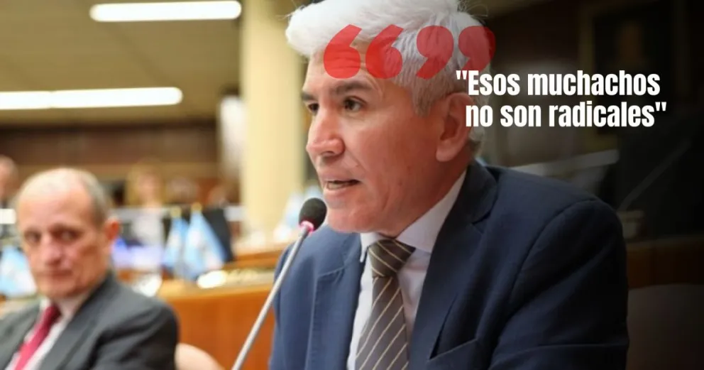 Castro criticó duramente a los radicales que se reunieron con Massa