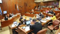 Cámara de Diputados aprueba la renuncia del titular del Tribunal de Cuentas
