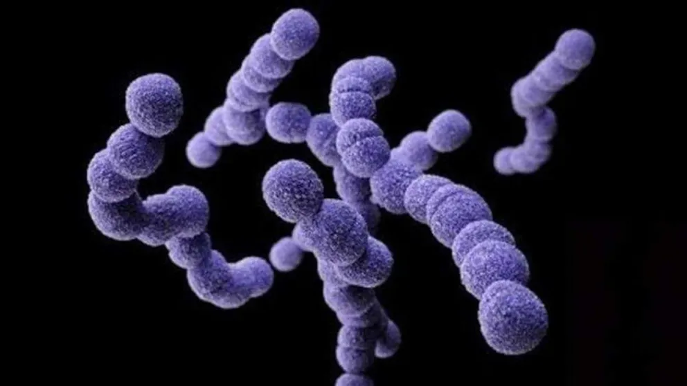Preocupación por una súper bacteria que ya causó 64 muertes en el país