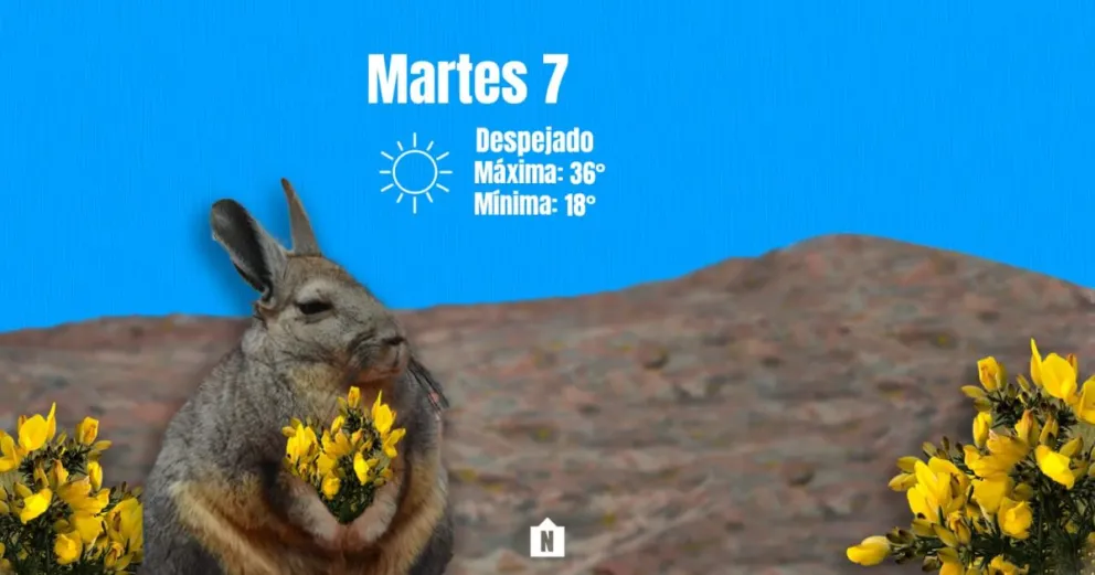 Martes despejado 