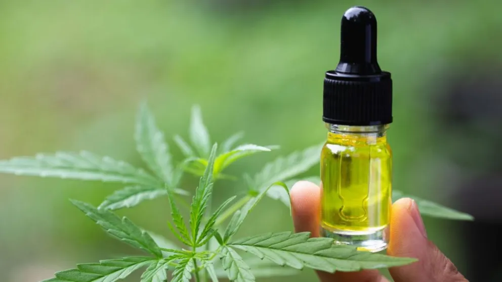Autorizaron la venta en todo el país del primer aceite de cannabis producido en Argentina