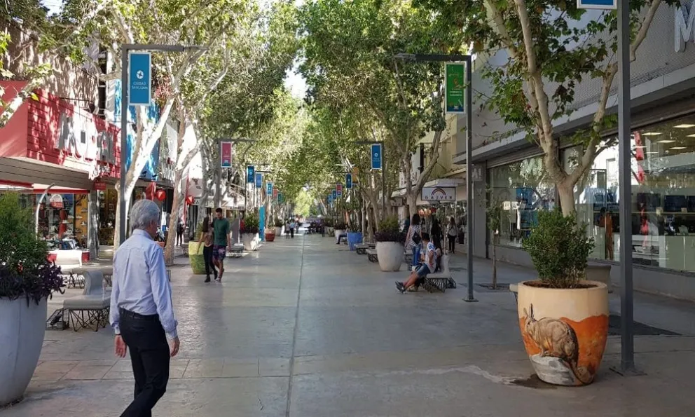 Por negocios tipo “saladitas”, comerciantes aseguraron que pierden hasta un 60% de ventas