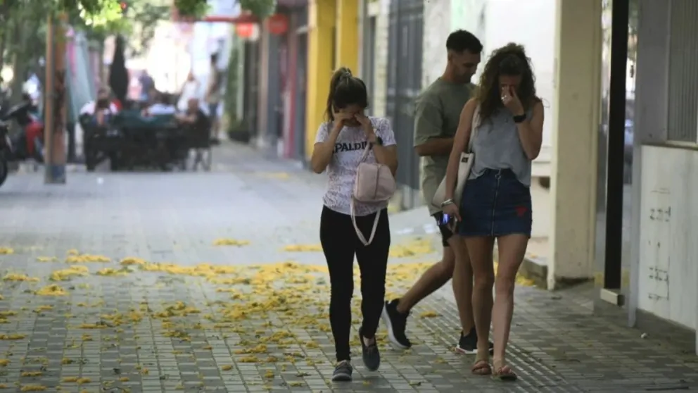 Domingo con buen clima, hasta la tarde-noche que se esperan vientos y posibles lluvias