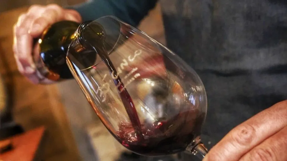 Día del Vino: se vienen cuatro días repleto de propuestas