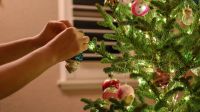 La Navidad cada vez más cerca: ¿cuánto cuesta renovar el arbolito? 