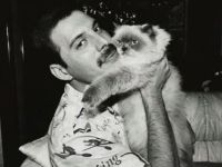 Freddie Mercury: A 32 años de la muerte de un rockstar amante de los gatos 
