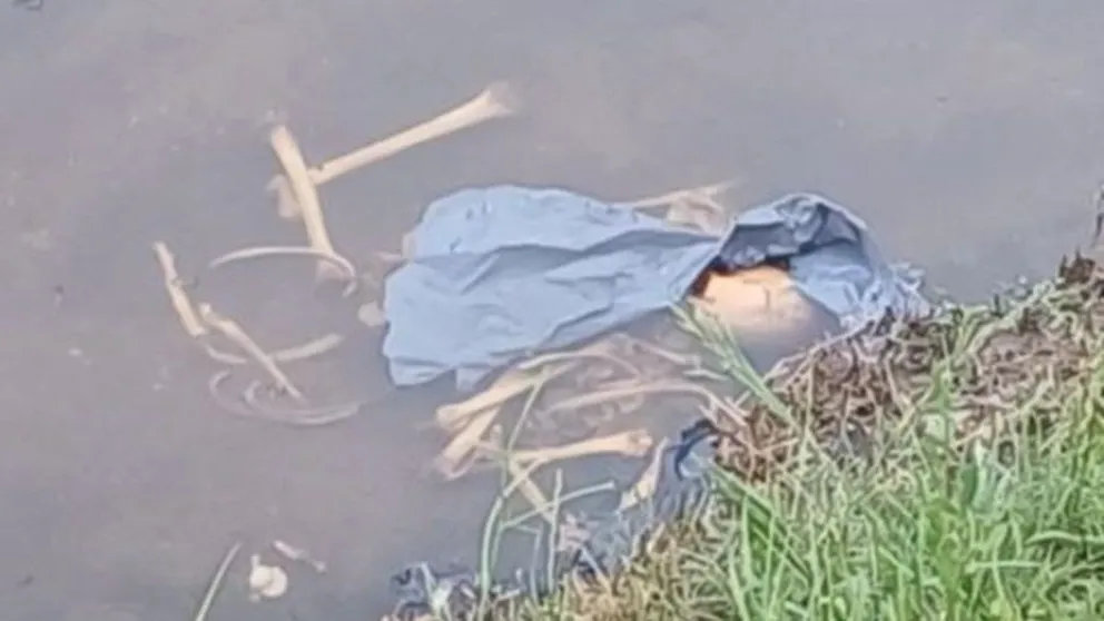 Encuentran huesos humanos en una bolsa que flotaba en un arroyo