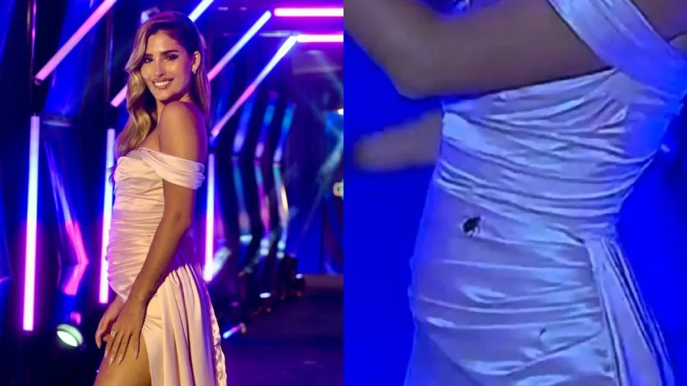 La cucaracha que se hizo viral en el comienzo de Gran Hermano