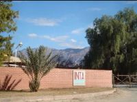 El INTA busca profesionales en San Juan y Mendoza 