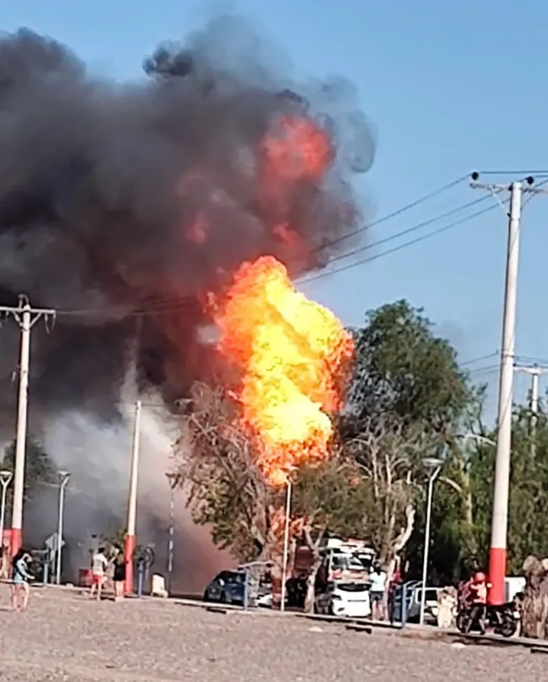 Prendieron fuego basura y casi incendian el fondo de una casa