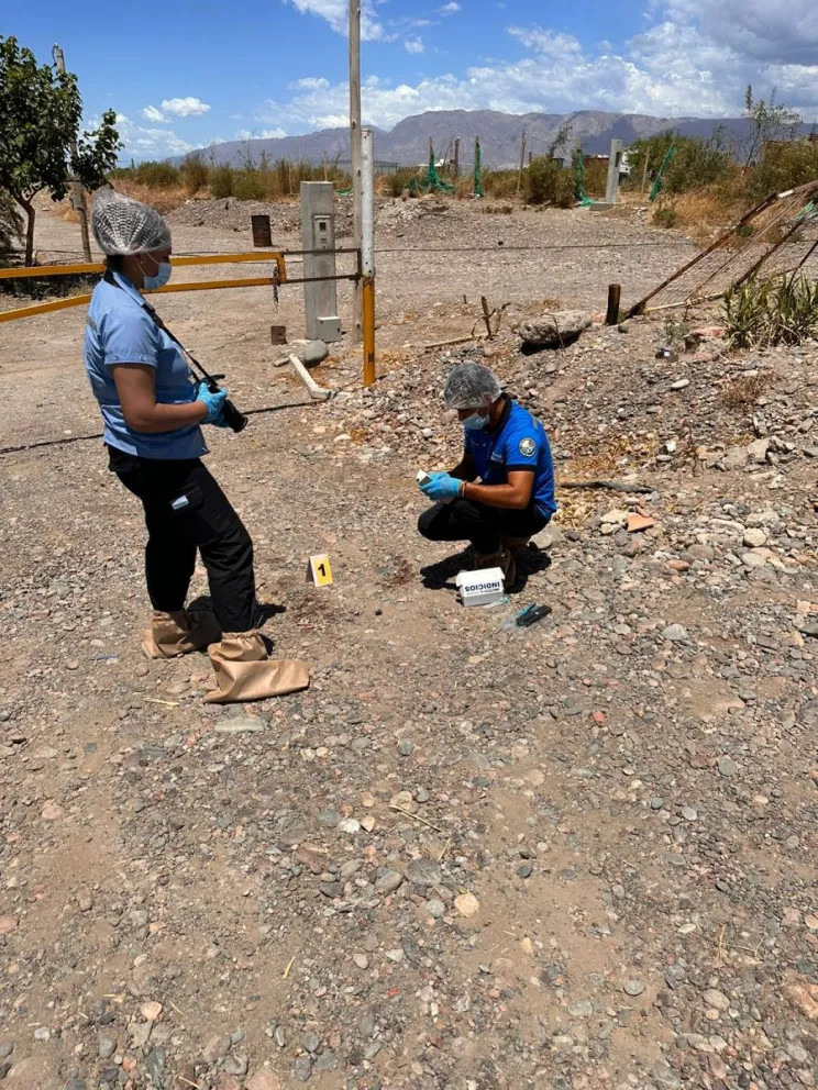 Disputa familiar: un hombre fue asesinado por su hermano 