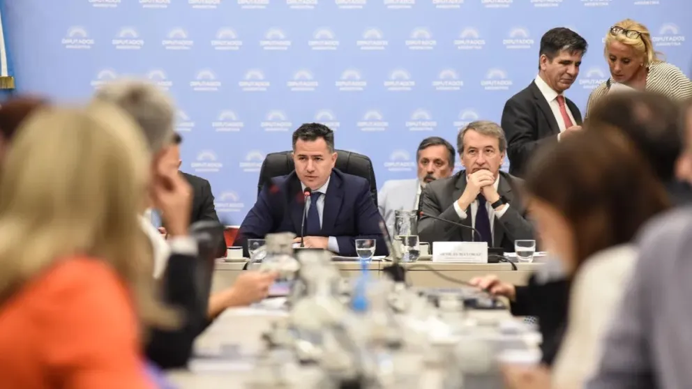 Polémica en el debate: ONGs cuestionan la Ley de Bases en una audiencia crucial