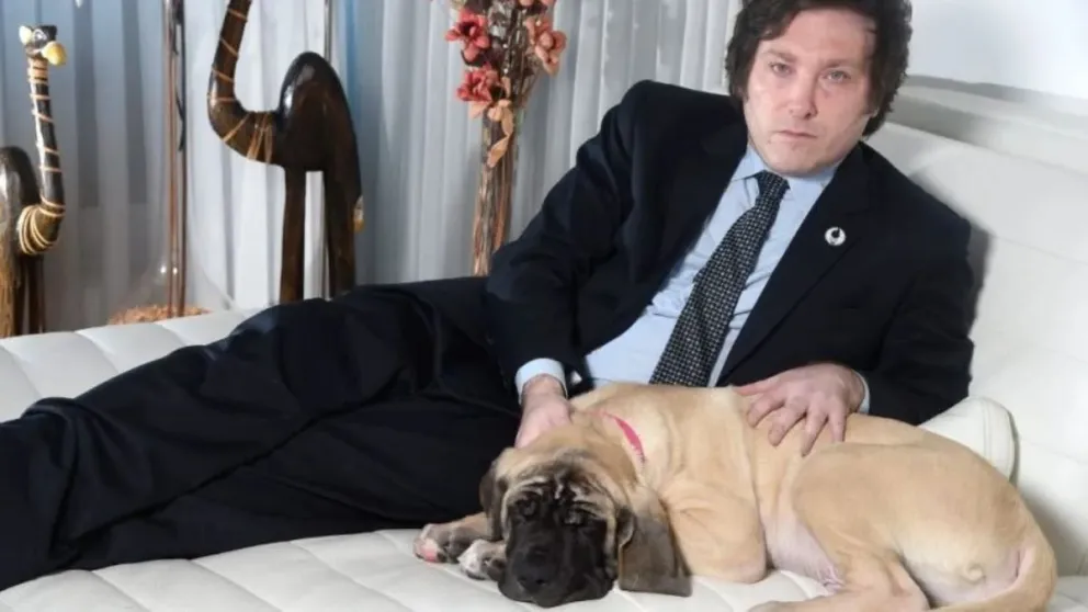 Un diputado presentó un proyecto para endurecer las penas en casos de maltrato animal