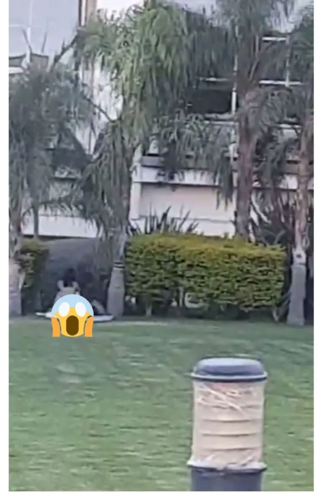 ¡No "telo" puedo creer! El video de una parejita en el Centro Cívico se hizo viral