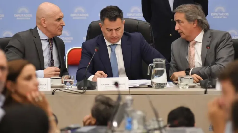 Ley Ómnibus: el oficialismo convocó a plenario de comisiones en Diputados