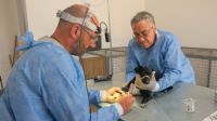 Chimbas, con un nuevo y renovado Centro de Esterilización de Animales 