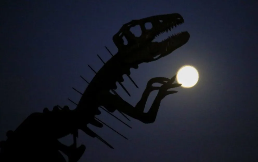 Turismo en San Juan, con la primera luna llena del año se podrá recorrer Ischigualasto
