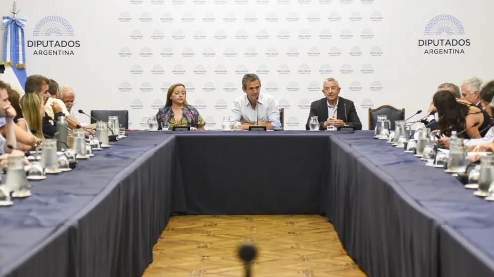 Jornada crucial en diputados: definiciones y debate intenso por la ley bases