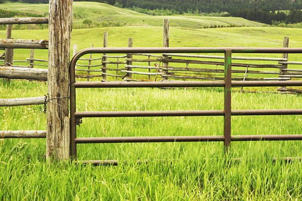 Un caballo murió en un corral que quedó bajo las llamas 