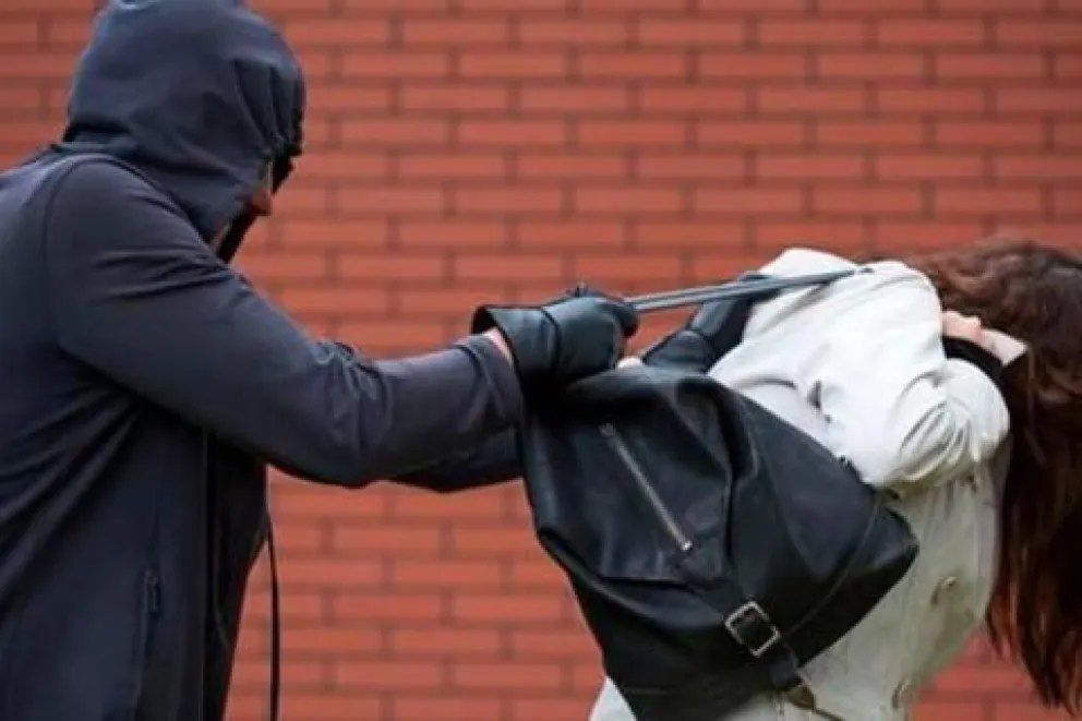 Atraparon a un ladrón que robó una cartera y un celular 