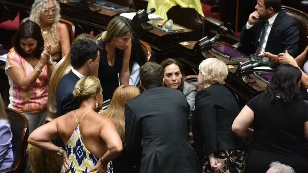 Congreso: la diputada Carla Carrizo fue amenazada por libertarios