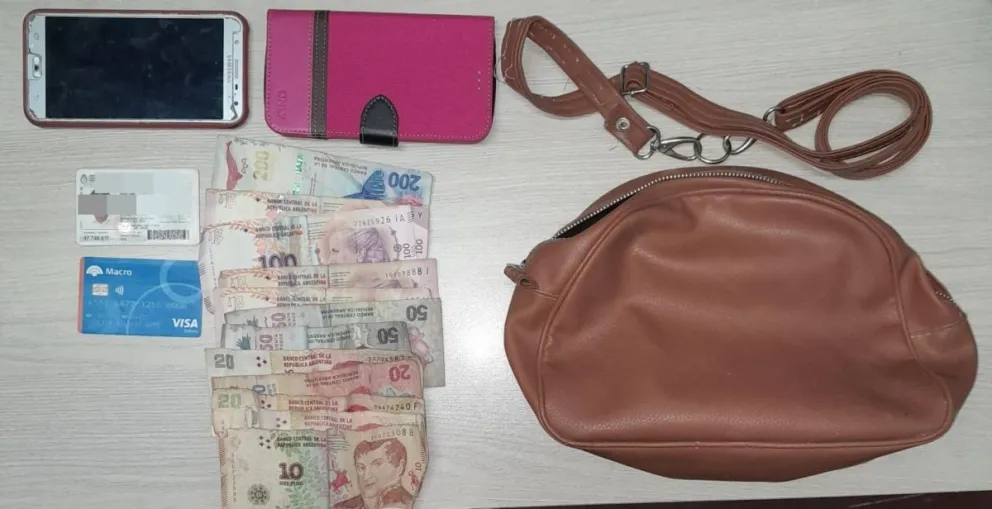 Detuvieron a un menor que le robó la cartera a una mujer en Pocito 