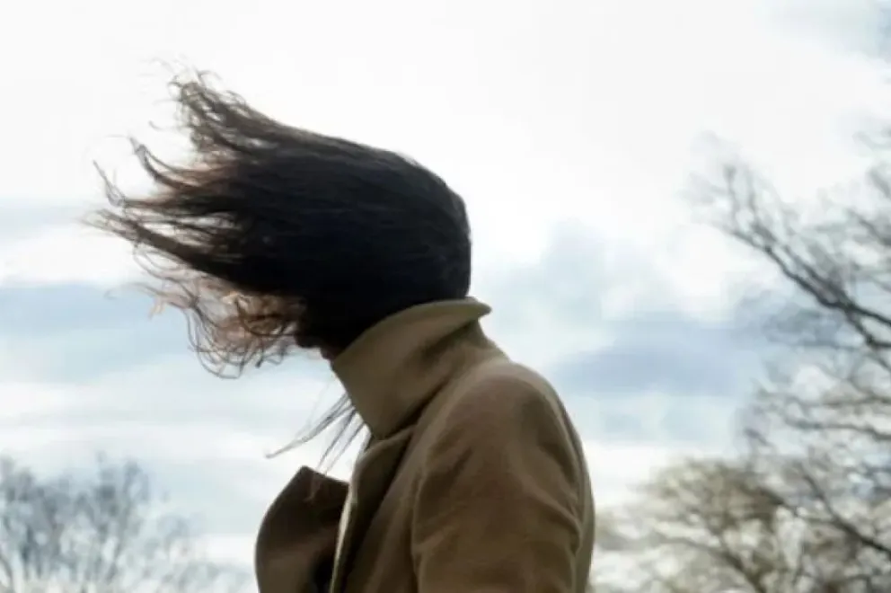 Alerta por la llegada de viento Sur y ráfagas de 69 kilómetros por hora 