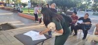 Sigue el operativo de censo y esterilización de mascotas en Concepción 