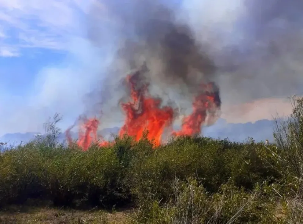 Bomberos trabaja para sofocar un incendio en Astica