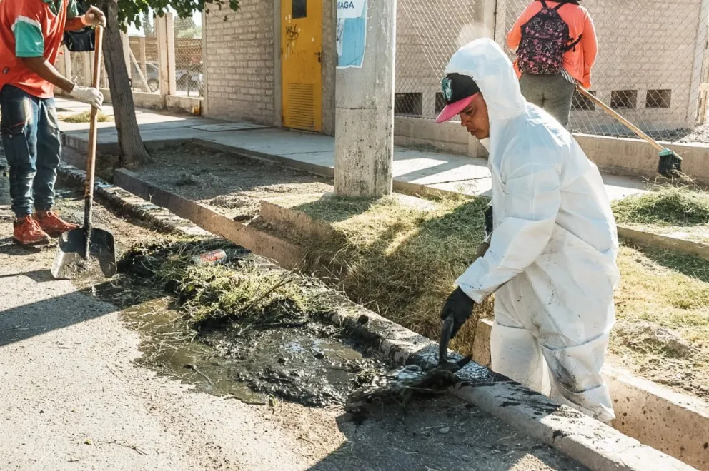 Rawson realizó tareas de limpieza y control de vectores en calle Vidart 