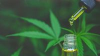 Después de una larga espera, el cannabis medicinal se podrá usar para la epilepsia refractaria
