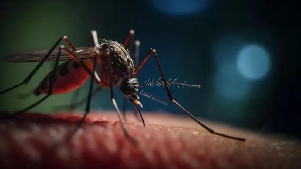¿La alimentación influye en la protección del dengue?