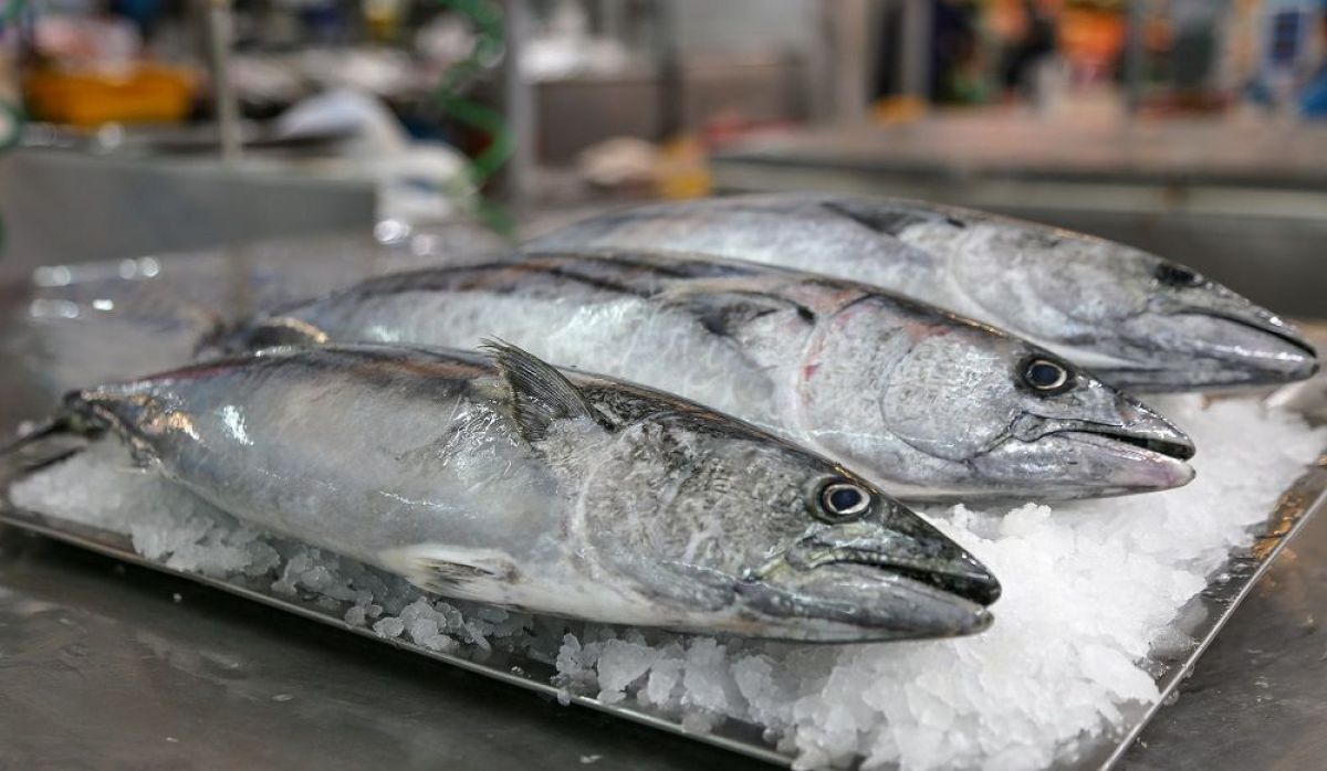 Antes de Semana Santa salen a controlar la venta de pescado: qué se debe tener en cuenta