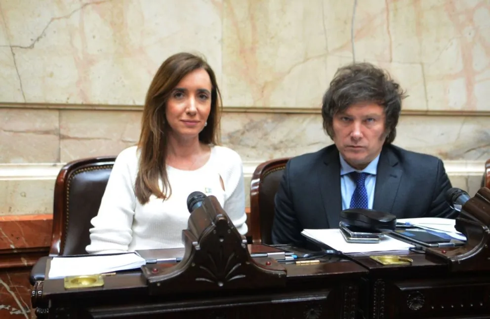 El Senado tratará el mega DNU en medio de la interna de La Libertad Avanza