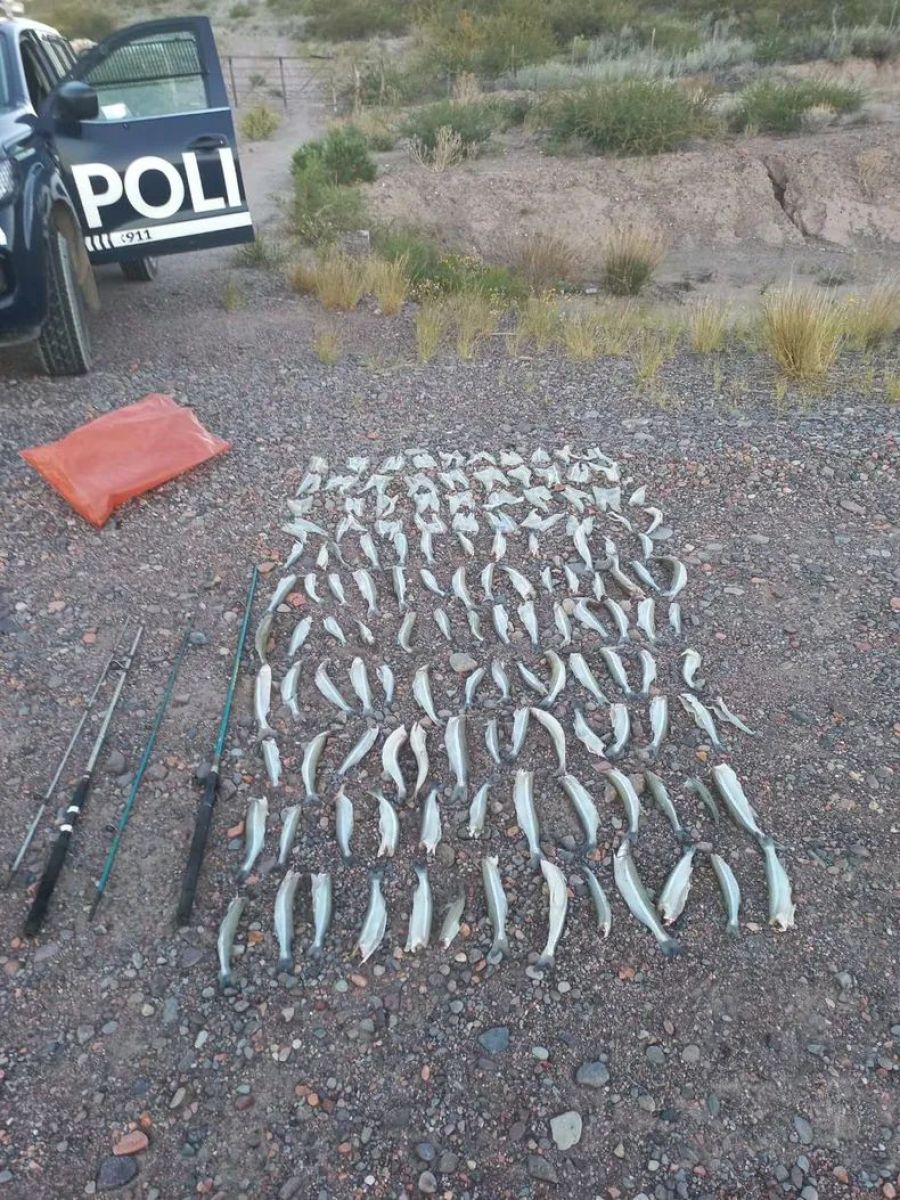 Detienen a un sanjuanino por pescar ilegalmente más de 100 pejerreyes en Mendoza