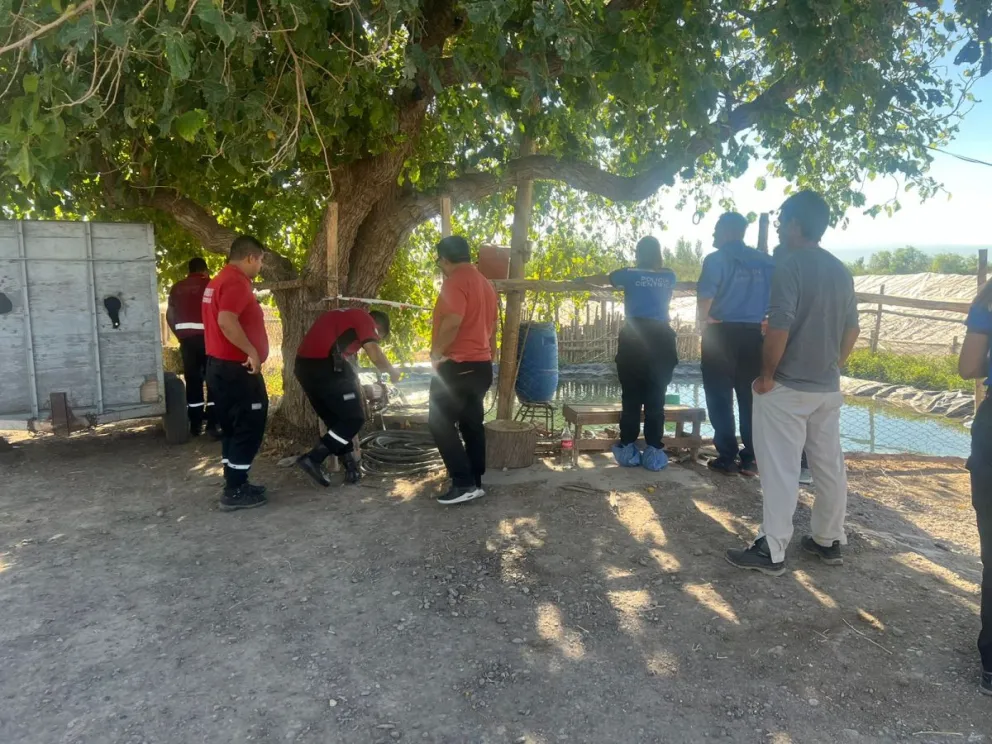 Encontraron muerto a un hombre en una finca de Albardón