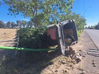 Un automovilista se llevó puesto un árbol, luego un poste y terminó en el jardín de una casa