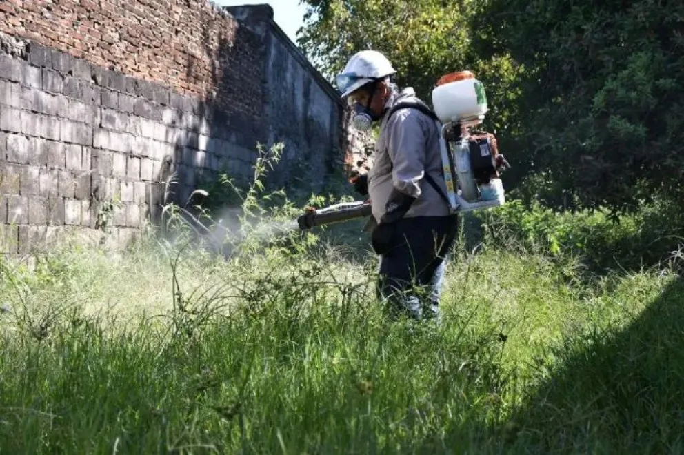 Se registraron 63.399 y 42 muertos por dengue en todo el país