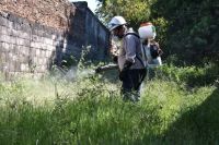Una mujer de 39 años, la primera fallecida por dengue en San Juan