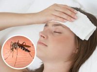Dengue: qué hacer y cómo actuar si se presentan síntomas 