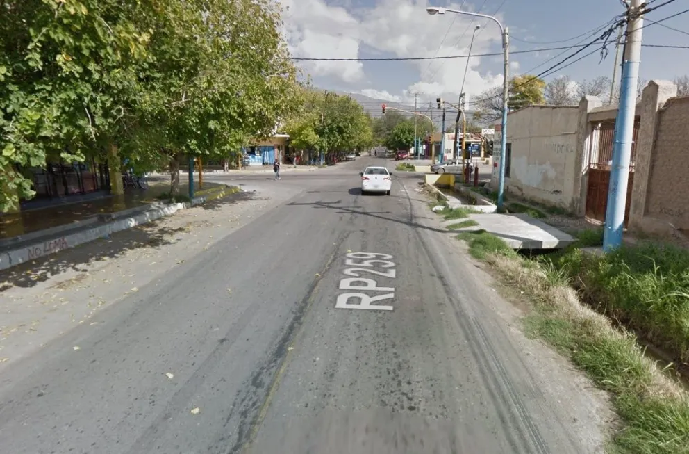 Temor en Pocito por la posible presencia de un puma: mirá el video