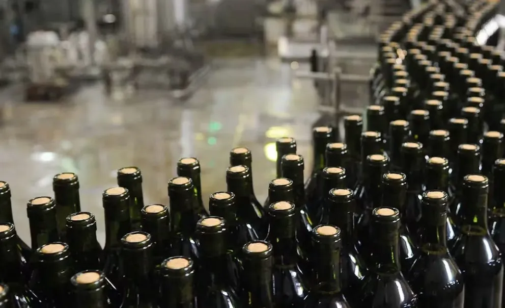 Viñateros sanjuaninos en pie de guerra con el INV por la autorización para importar vinos 