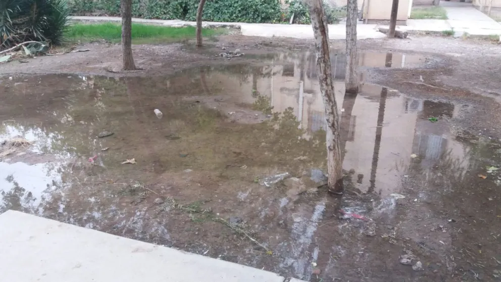 En pleno brote del dengue, vecinos de un barrio emblemático denunciaron la rotura de un caño y la formación de una enorme 'laguna'